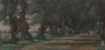 The Shaded Lane
