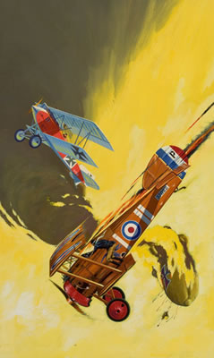 Dusty Ayres and His Battle Birds, paperback cover