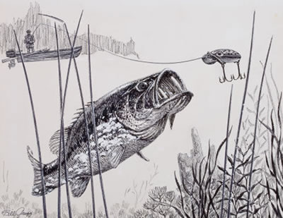 A Collection of Seven Afield Magazine Illustrations