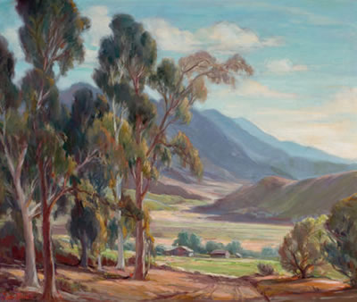 Eucalyptus, Sierra Madre, CA