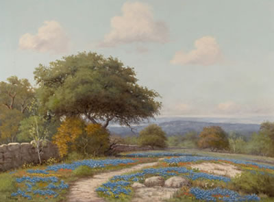 Hill Country Spring on Calichi Road