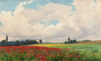 A French Poppy Field