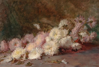 Asters