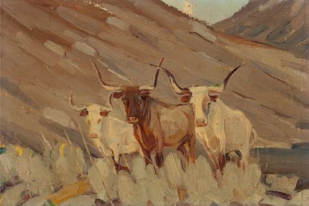 Texas Longhorns