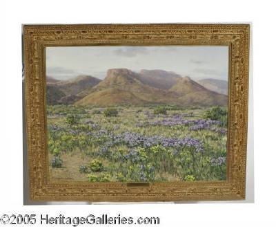 Cat's Claw Valley