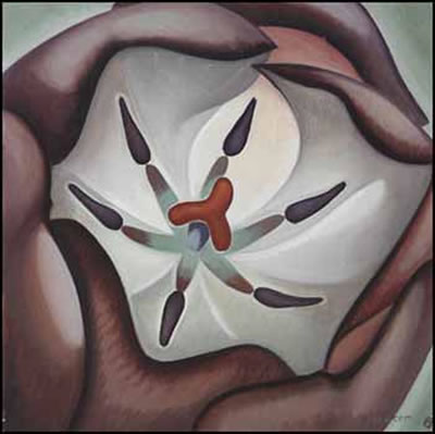 Tulip