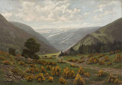 Ginsterblüte in der Eifel