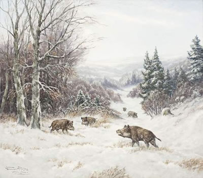 Winterlandschaft mit Wildschweinen auf verschneitem Hang