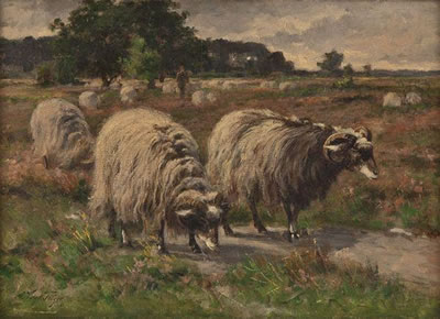 Heidschnucken mit Schäfer