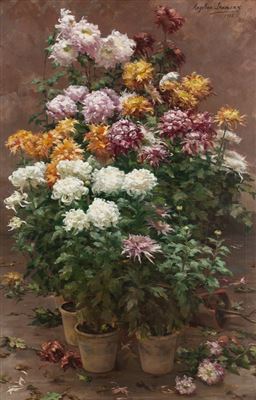 Prächtiges Stillleben mit Chrysanthemen by Angelina Drumaux - Auction record, sale price, and art valuation. Compare with similar artists and explore comparable artworks.