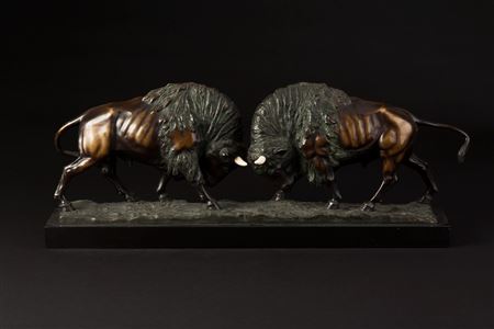 Zwei kämpfende Bisons