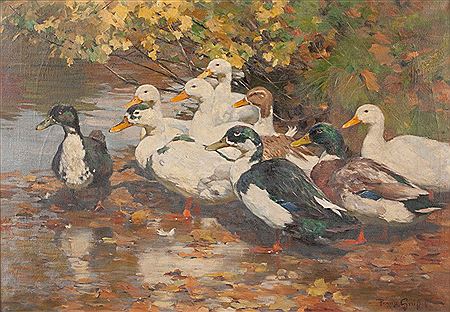 "DUCKS AT POND SHORE"