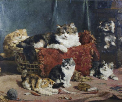 Cats and Kittens