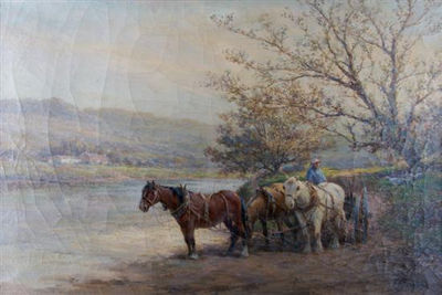 Country Scene