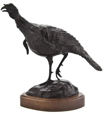 A wild turkey
