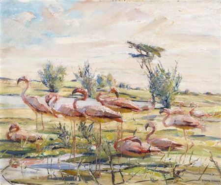 Flamingos
