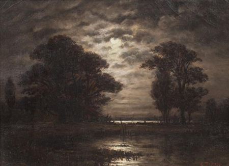 Night Field
