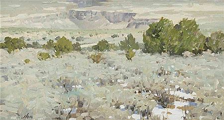 Canyon of the Rio Grande