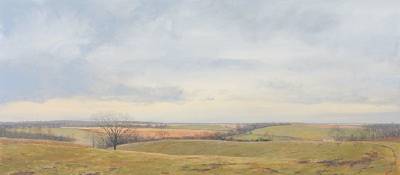 Pasture: No 2