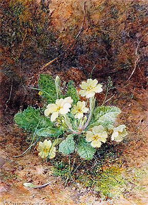 Primroses by John Jessop Hardwick - Auction record, sale price, and art valuation. Compare with similar artists and explore comparable artworks.