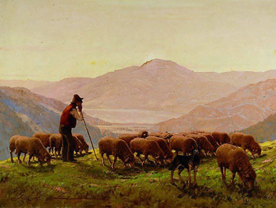 Schafherde auf Schwarzwaldhöhe