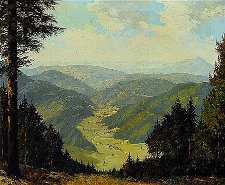 Look into the meadow valley