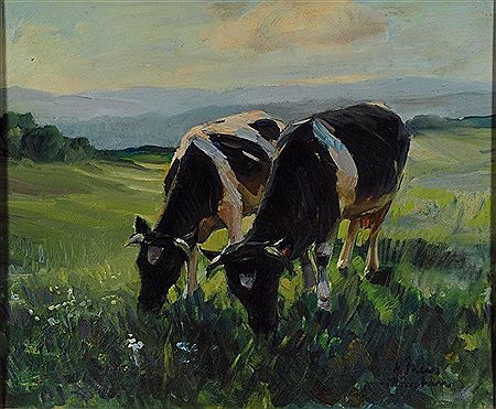 Grazing cows
