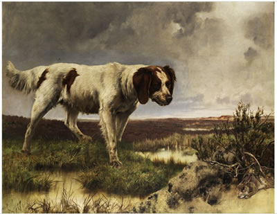 JAGDHUND VOR EINEM FELDHASEN