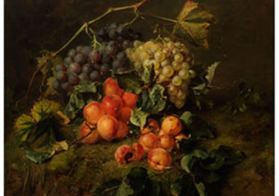 FRÜCHTESTILLEBEN by Adriana Johanna Haanen - Auction record, sale price, and art valuation. Compare with similar artists and explore comparable artworks.