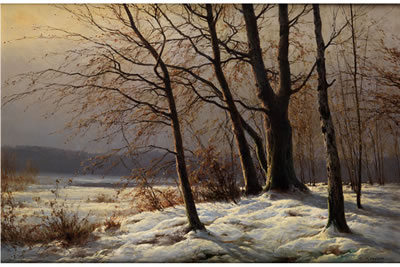 WINTERLICHE WALDLANDSCHAFT MIT JUNGEN BÄUMEN AM WALDRAND