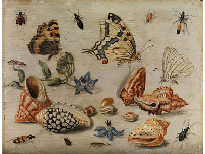 Sample artwork by Jan van Kessel II (1641 - 1680), known for still life, landscape painting - View similar artists and auction records