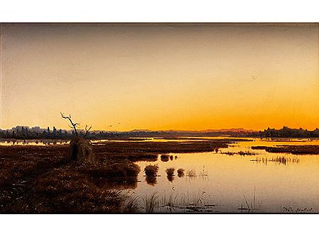 WEITE MOORSEELANDSCHAFT IM ABENDLICHT