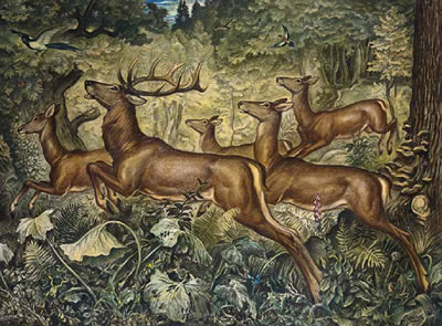 Springendes Hirschrudel im Wald, umgeben von Vögeln, Fröschen und Schmetterlingen by Richard Duschek - Auction record, sale price, and art valuation. Compare with similar artists and explore comparable artworks.