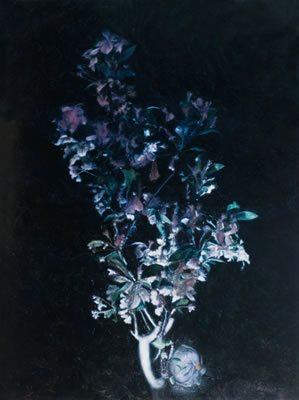 Sample artwork by Daishan Wang (Born 1981), known for painting - View similar artists and auction records
