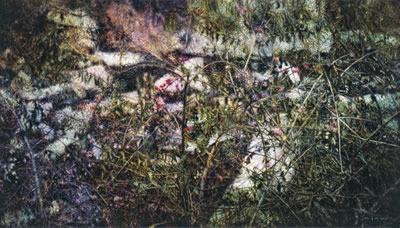 Xinmao Year Collection
