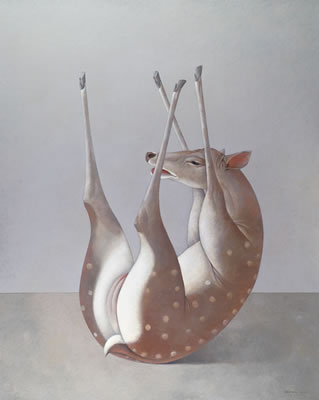 Deer