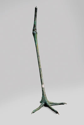 Crane Feet by Jinsong Shi - Auction record, sale price, and art valuation. Compare with similar artists and explore comparable artworks.