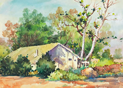 Rural Scenery