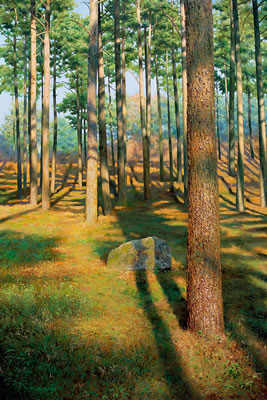 Silent Woods No.43