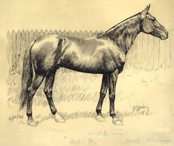 Benton M