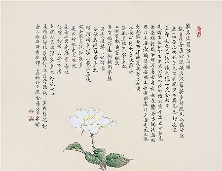 HEART SUTRA