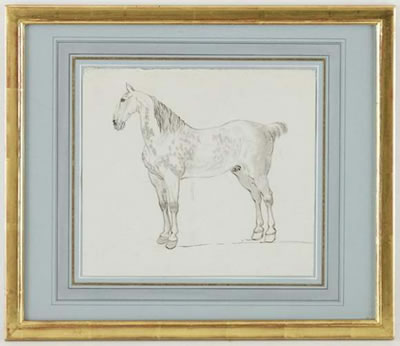 Cheval gris pommelé