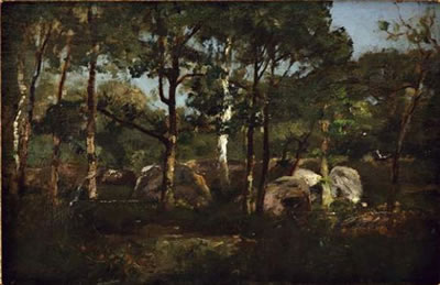 Sous bois