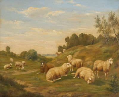 Tropeau de moutons
