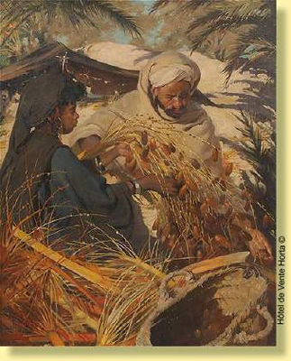 La récolte des dattes