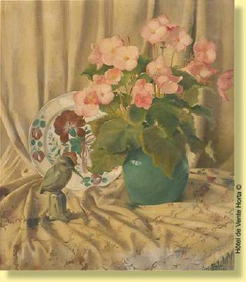 Bégonias et pic-vert