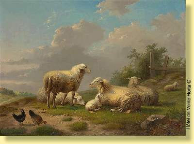 Moutons à la barrière