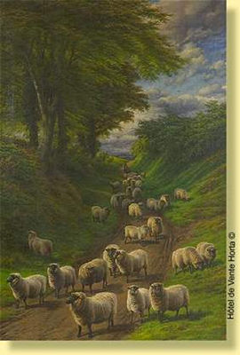 Troupeau de moutons