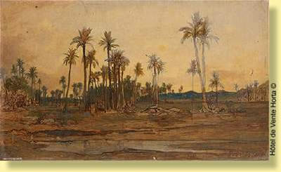 Oasis