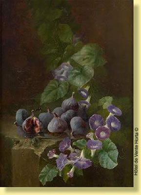 Composition aux figues et liserons des haies
